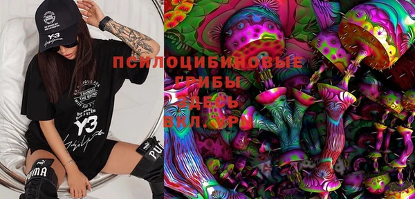спиды Бородино
