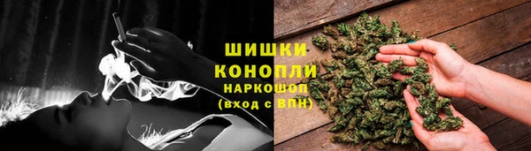 спиды Богданович
