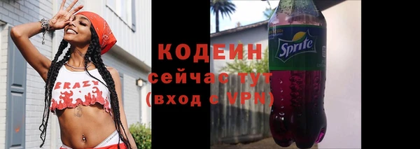 спиды Бородино