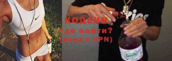 спиды Бородино