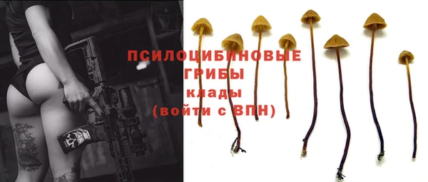 спиды Бородино