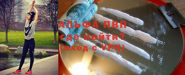 спиды Бородино