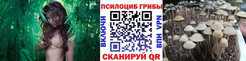 KRAKEN tor  Тбилисская  Галлюциногенные грибы MAGIC MUSHROOMS 